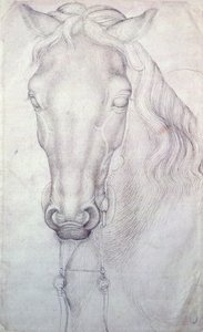 Cabeza de un Caballo de Antonio Pisanello