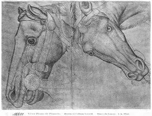 Cabezas de caballos, del Álbum Vallardi