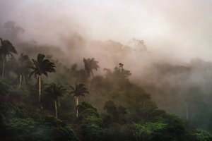 Corcovado XIX, 2020 (foto digital)