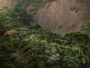 Corcovado XV, 2020 (fotografía digital)
