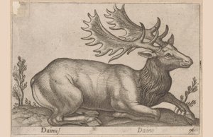 Damhert Dainus / Daino (título sobre objeto) Dieren en fabelwezens (título de la serie) Colección Nova de los animales más curiosos del mundo (título de la serie)