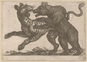 Un oso peleando con un tigre Animales de pelea (título de la serie) de Antonio Tempesta