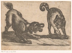Un perro luchando contra un gato
Animales de combate (título de la serie) de Antonio Tempesta