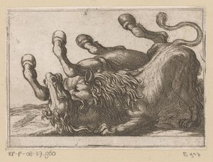 Un león muerde el cuello de un caballo Animales de pelea (título de la serie) de Antonio Tempesta