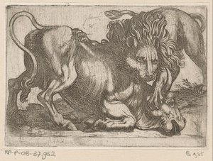 Un león atacando a un toro Animales de pelea (título de la serie) de Antonio Tempesta