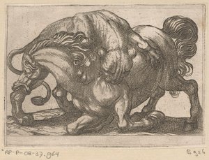 Una leona atacando a un caballo. Animales de pelea (título de la serie) de Antonio Tempesta