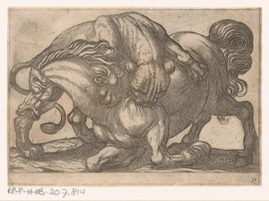 Una leona atacando a un caballo. Animales de pelea (título de la serie) de Antonio Tempesta