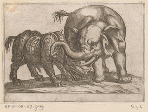 Un rinoceronte lucha contra un elefante. Animales de pelea (título de la serie) de Antonio Tempesta