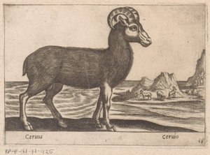 Gemas Cerinis / Ceruio (título sobre objeto) Dieren en fabelwezens (título de la serie) Colección Nova de los animales más curiosos del mundo (título de la serie) de Antonio Tempesta