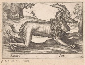 criatura monstruosa Satirus/ Satiro (título sobre objeto) Animales y criaturas míticas (título de serie) Nova raccolta de li animali piu curiosi del mondo (título de la serie)