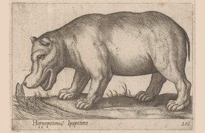 Hipopótamo Hippopotamus/Ippopotamo (título sobre el objeto) Animales y criaturas míticas (título de serie) Nova raccolta de li animali piu curiosi del mondo (título de la serie)