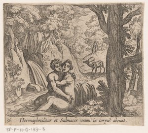 Salmacis y Hermafrodito Hermaphroditus y Salmacius parten como un solo cuerpo (título sobre el objeto) Metamorphoseon o transformaciones (título de la serie) Metamorfosen van Ovidius (título de la serie) de Antonio Tempesta