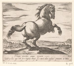 Steigerend paard naar rechts gewend Paarden uit verschiedelden landen (título de la serie) Con estos líderes serás celebrado como un líder con boca de viroru. de Antonio Tempesta