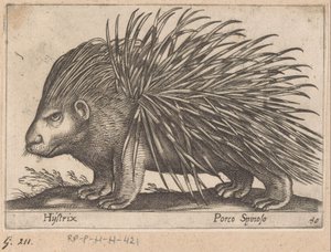 Puerco espín Hystrix/ Porco Spinoso (título sobre el objeto) Animales y criaturas míticas (título de serie) Nova raccolta de li animali piu curiosi del mondo (título de la serie)