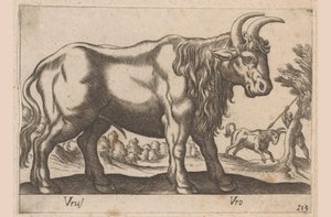 Toro Vrus/ Vro (título en objeto) Dieren en fablewezens (título de la serie) Nueva colección de los animales más curiosos del mundo (título de serie) de Antonio Tempesta