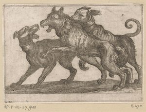Dos perros peleando con un lobo Animales de pelea (título de la serie)