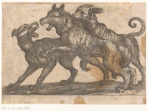 Dos perros luchando contra un lobo
Animales de combate (título de la serie) de Antonio Tempesta