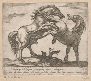 Twee parende paarden Paarden uit verschiedelde landen (título de la serie) Con estos líderes serás celebrado como un líder con boca de viroru.