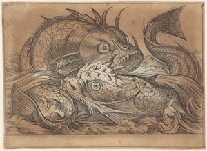 Dos peces luchando