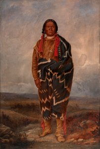 Indio Apache, ca. 1893