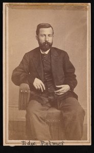 Retrato de Edward Palmer 1829-1911, 1868-1869