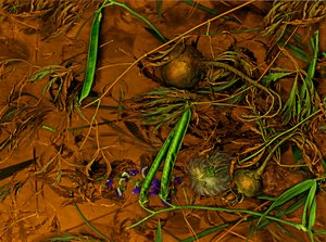 Earthart no.2, 2014 (foto)