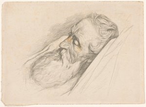 Hombre dormido con barba