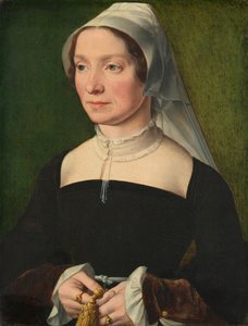 Esposa de un miembro de la familia de Hondecoeter, 1543 de Antwerp 16th Century