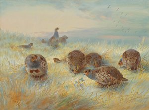 Un amanecer helado de Archibald Thorburn