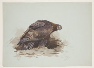 Águila dorada, c.1915 de Archibald Thorburn