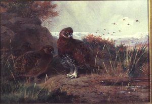 Urogallo en un paisaje invernal de Archibald Thorburn