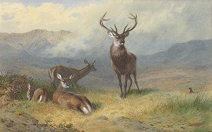 Monarca de la cañada de Archibald Thorburn