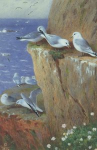 Gaviotas de Archibald Thorburn