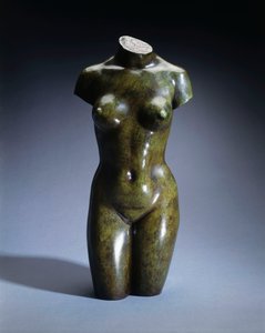 Torso de una mujer joven