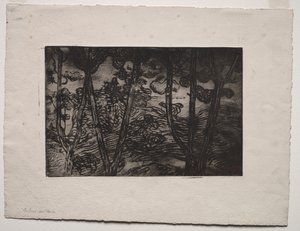 árboles en la noche de Armand Séguin