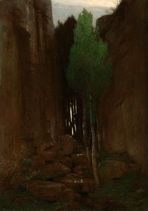Manantial en un desfiladero estrecho (Quell in einer Felsschluct) de Arnold Böcklin