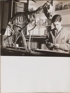 [Joven de pie junto a un esqueleto de animal]