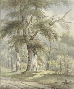 Vista del bosque de Arnoldus Johannes Eymer