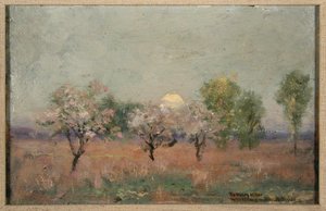 Paisaje