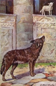 Fábulas de Esopo: El niño y el lobo (litografía en color) de Arthur Claude Cooke