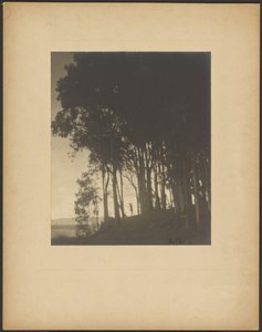 Ninfa bailarina de Arthur F. Kales