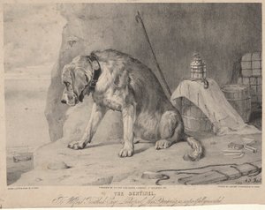 La centinela de Arthur Fitzwilliam Tait