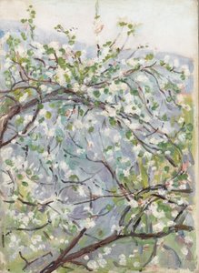 Floración, c.1900 de Arthur Haythorne Studd