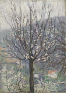 Floración, temprano en la mañana de Arthur Haythorne Studd
