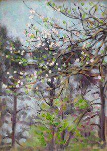 Cerezo en Flor con Pinos en el Fondo de Arthur Haythorne Studd