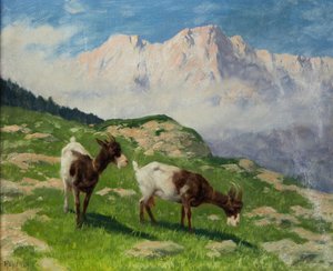 Cabras Arthur Heyer en un paisaje de montaña