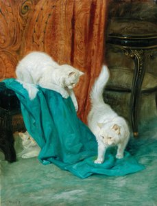 Gatos jugando