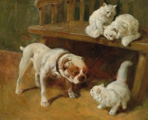 Perros y gatos
