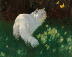 Gato blanco y mariposas