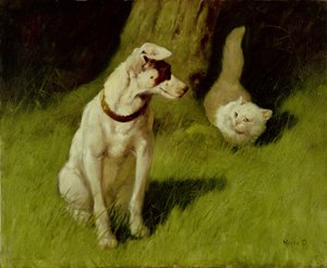 Gato persa blanco y Jack Russell